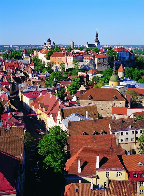 Vip Old Town Apartments Таллінн Номер фото